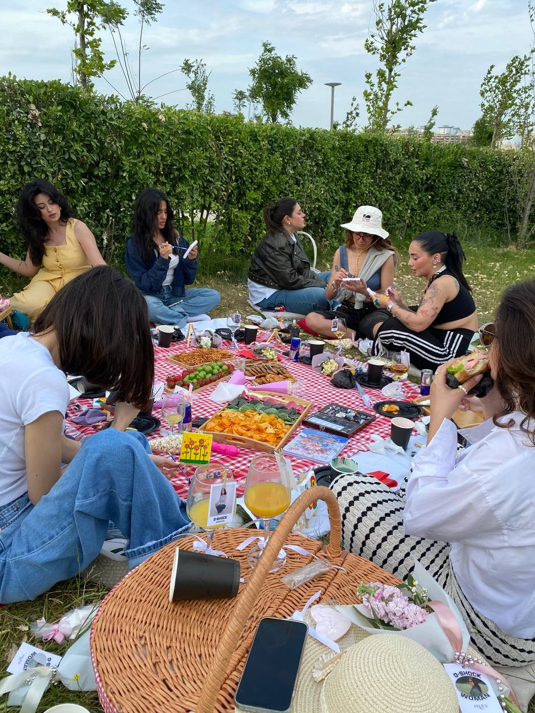 PİCNİC DAY